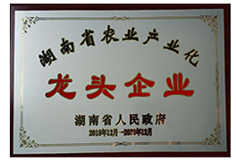 湖南省農業龍頭企業